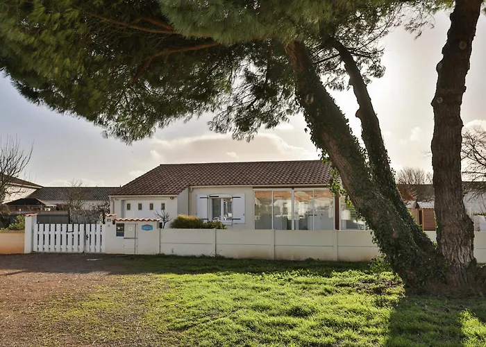 Le Pin Parasol Cote Vendeenne